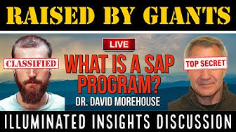 Illuminated Insights Discussion – What is a SAP Program? – Dr. David Morehouse